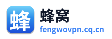 蜂窝VPN Logo